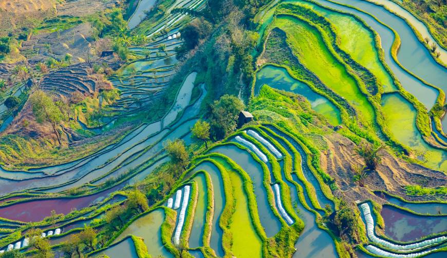 宝妈必备神器：衡水产品视频拍摄轻松育儿好帮手